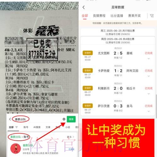 深入解析世界杯竞猜平台的优劣分析